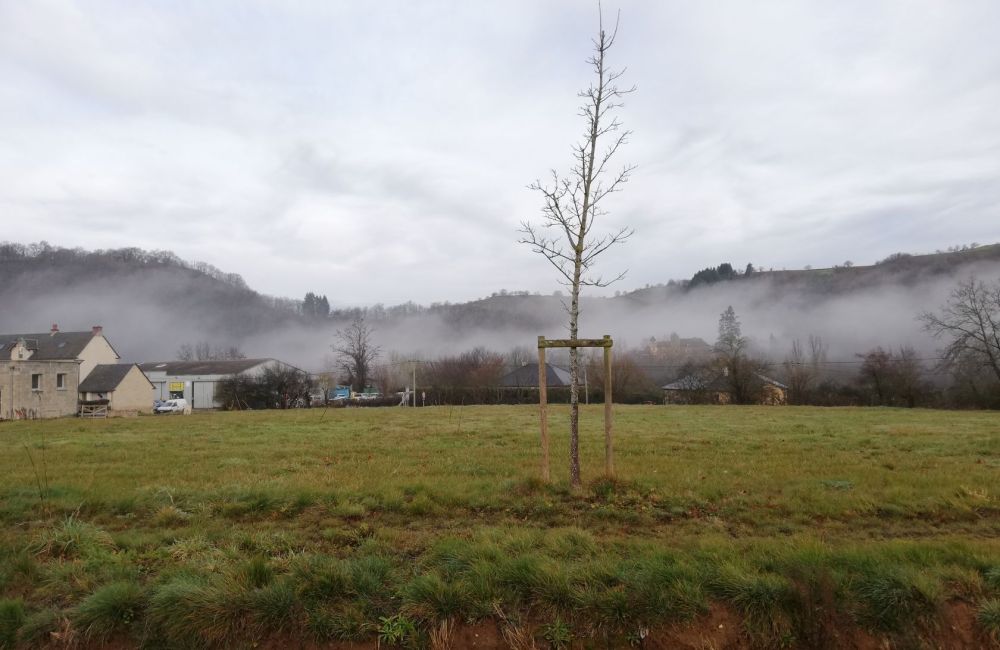 Vente terrain + maison SEBRAZAC Aveyron